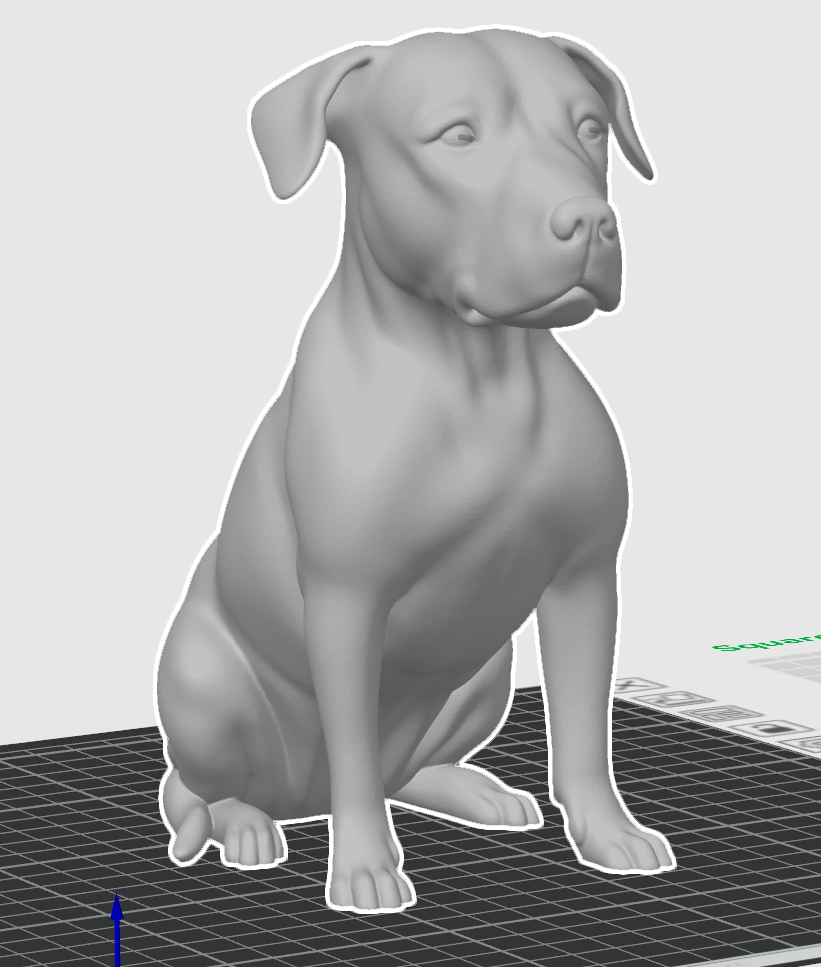 Approved digital 3D model of Rae Rae